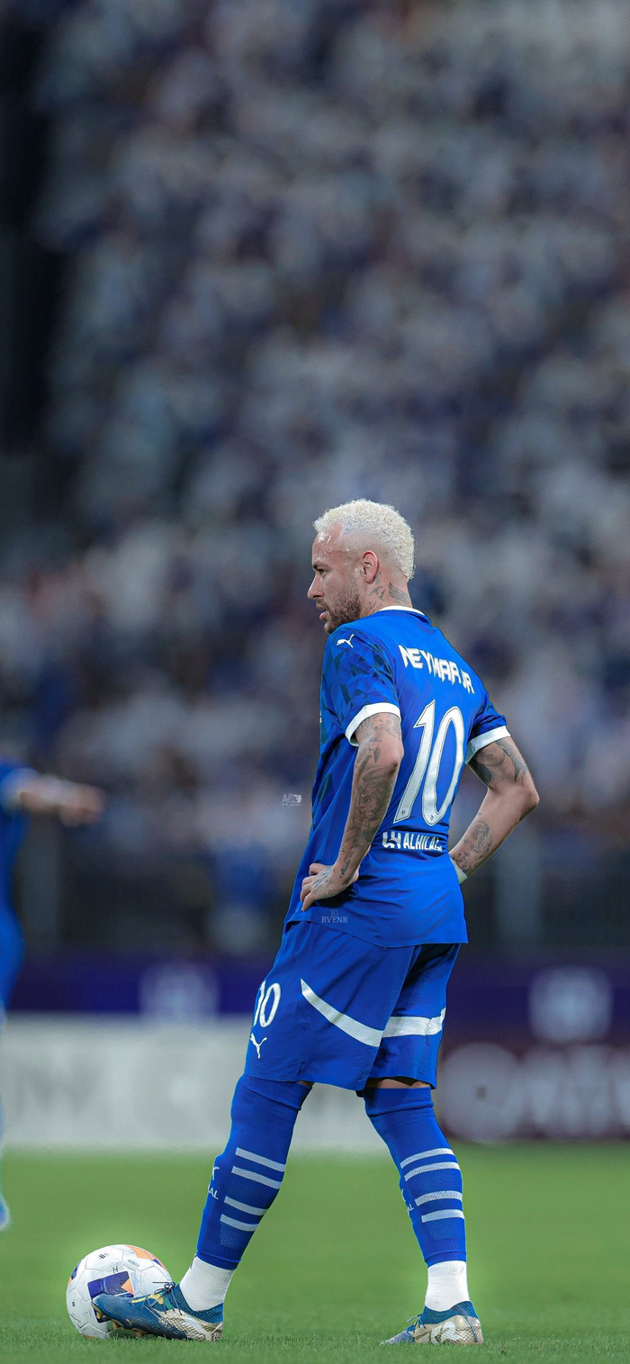 是林诗栋职 是林诗栋职