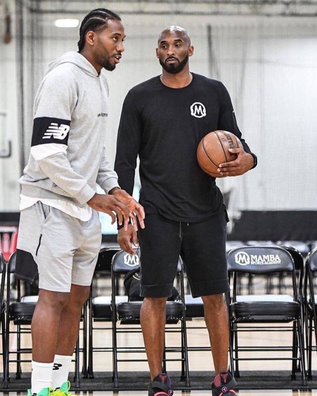 加里奥系的 加里奥系的